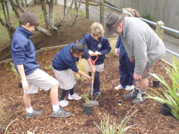 Hilltop School - Paper 4 Trees competition